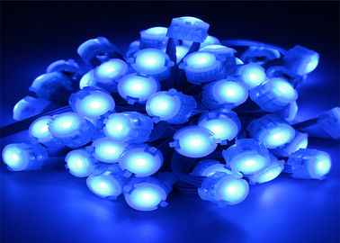 Φως εικονοκυττάρου των μπλε DC12V 5050 20mm οδηγήσεων IP67 0.25W με τη γωνία ακτίνων 120