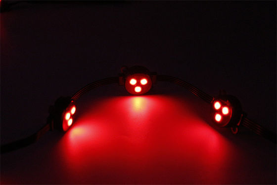 Outdoor Decoration Permanent Christmas Lights 30mm RGB  LED Point Light Source DC12V 0.75W LED Pixel Light