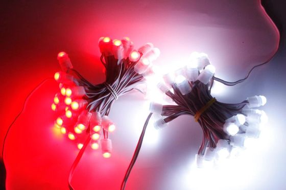 Permanent Exterior Holiday Decoration Lights Rgbic DC5V Jellyfish Permanent Christmas Light Outdoor Led Pixel Strings
