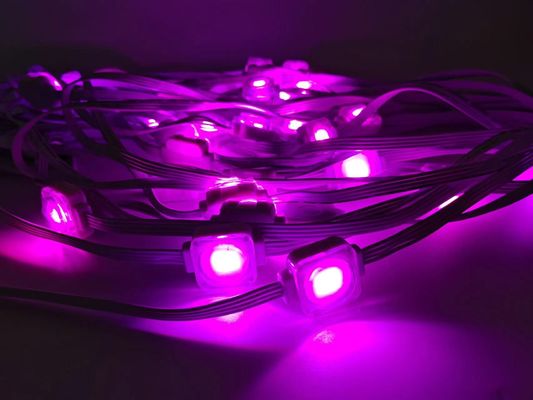 PC Shell LED Point Light Side Emitting View Sample Kit Module LED Pixel Light