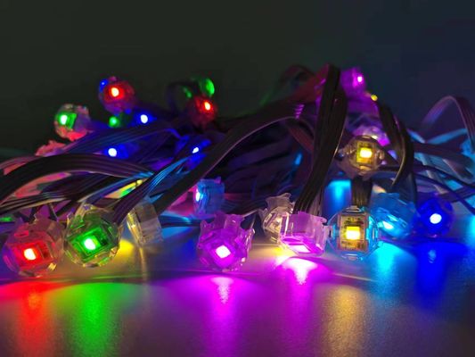 12V high quality Holiday House decor lights sets Outdoor Lights Smart WiFi Outdoor point pixel Lights