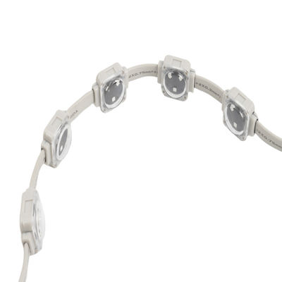 Waterproof IP67 Outdoor 25mm LED Point Light Source 0.75w Dc12v for Permanent Christmas Light RGB Multi Colors