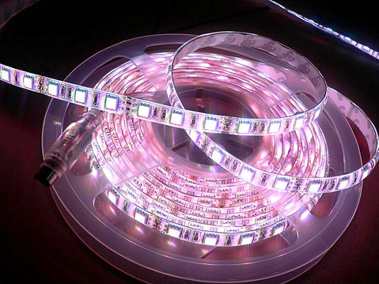 Smart Flexible Indoor DV12V SMD5050 RGB LED Light Strip Colorful Strip Lights For House Decoration