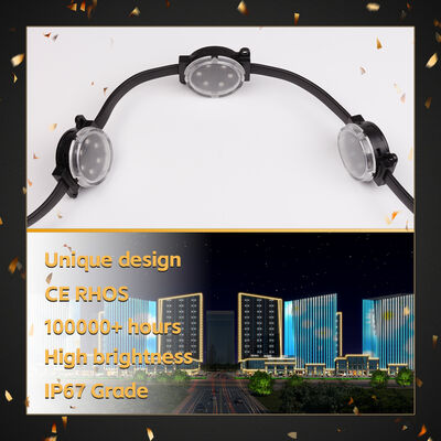48V Long Distance Transmission LED Point Lights with 3535 LED Chips for Christmas Theme Park Landscape Decoration Outdoor Festival Lighting System