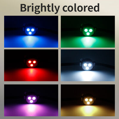 Hot Product LED Intelligent RGBW Colorful Point Light Source Waterproof Eaves Lights Mobile Phone APP Voice Control IP67