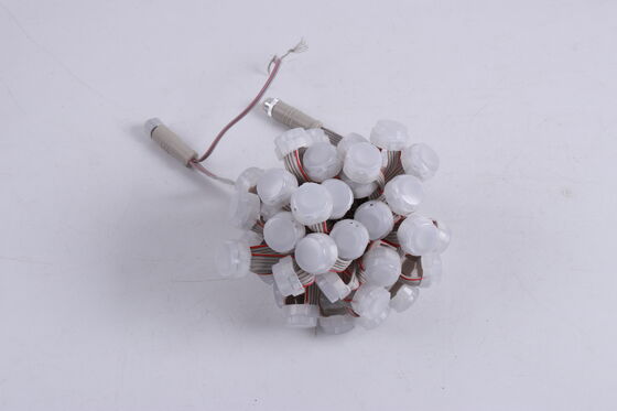Waterproof LED Point Light 20mm DC12V IP67  Outdoor Garden Building Decor Light