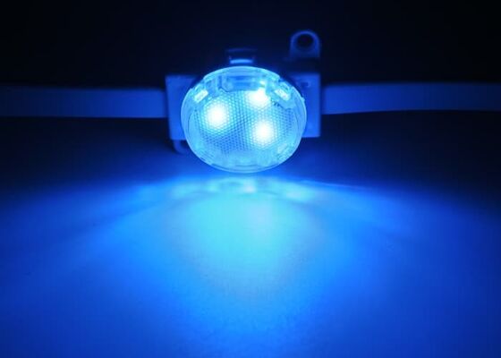 Durable PC Material LED Point Light 30mm DC12V SMD3535 Waterproof IP67 Flexible Lighting Solution for Indoor and Outdoor