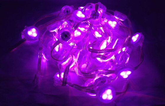 Single Color DC12V 5050 SMD LED Pixel Light For Bridge Decoration