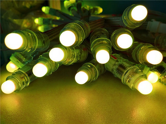 Miracle Bean 12mm  Full Color Led Rgb Pixel Strings BIS Certificate Rgb Addressable Pixel Led 12mm 5v 12v