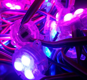 30mm SMD 5050 12V rgb οδηγημένο εικονοκύτταρο με το πλήρες χρώμα-11 έτη που κατασκευάζουν την εμπειρία