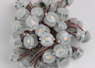 Υπαίθριο DC12V 20mm SMD 5050 οδηγημένα IP67 φω'τα 2000mcd Χριστουγέννων εικονοκυττάρου