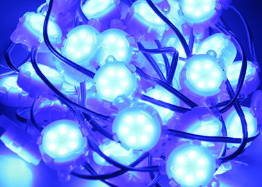 Αδιάβροχο Epistar SMD 5050 RGB 30mm μπλε οδηγημένο σημείο φως υπαίθριο
