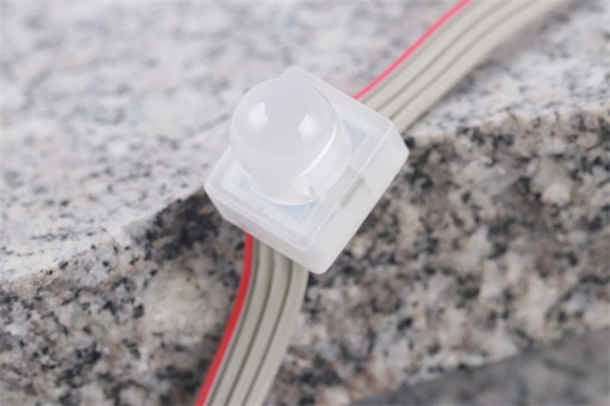 SMD5050 ελαφρύ IP67 DC12V 0.3W των οδηγήσεων εικονοκυττάρου ενιαίο φασόλι θαύματος χρώματος αδιάβροχο