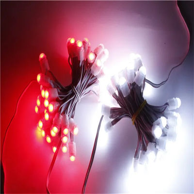 WS2811 RGB Pixel LED String Lights 5V 12V Programmable 12mm Smart Full Color Pixel LED