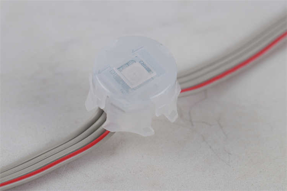 Φως 5050 Rgb Rgbw 1903 διακοπών 20MM μόνιμο οδηγημένο φως σημείου εικονοκυττάρου 2904 Dmx512 ολοκληρωμένο κύκλωμα