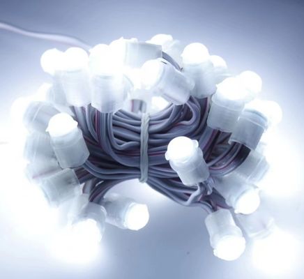 λευκό φως LED εξωτερικό αδιάβροχο 50 LEDs DC 12V 9mm Led Pixel String Light