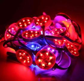 Υπαίθριο ψηφιακό RGB οδηγημένο εικονοκύτταρο IP67 40mm 50mm SMD3535 DMX αδιάβροχο