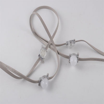 Χονδρικό 24V SMD3535 IP67 Single And RGB Color Changing Προγραμματιζόμενο LED Pixel Chain Light με ελεγκτή