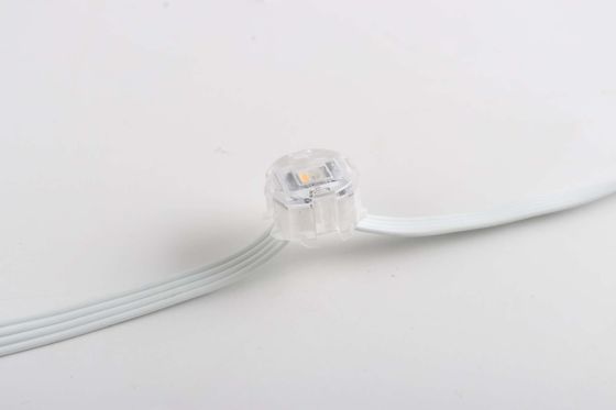 Customization IP67 20mm Waterproof Smart RGBW SPI LED Under Roof Permanent Eave Lights App Control Remote Pixel Point Lights