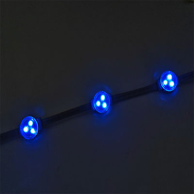 Factory Lighting 30mm Pixel 12v IP67 Outdoor Permanent Christmas Holiday RGB Led Pixel Point Lights