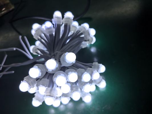 9 εκατοστά PVC σημειακά φώτα Χρωματιστή πηγή LED και έλεγχο SPI για εφαρμογές τοπίου