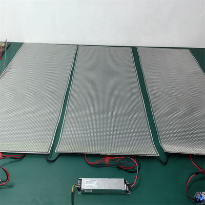 P8 DC5V Adhesive Wall Indoor Flexible LED Transparent Film Screen for Glass Display Media Facade Advertisement