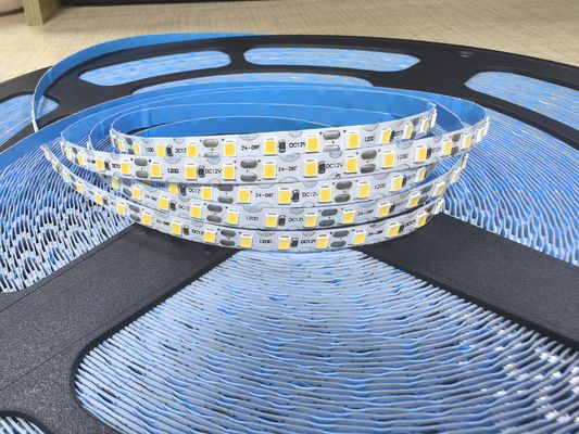 10m Single Color LED Strip Light Plug-in Power Source 60 LEDs 24V IP20 for Creative Home Decor Lighting