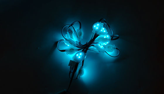 Smart LED Point Light Source DC12V 30mm IP67 Pixel Dot Waterproof RGB Facade Lighting Event Stage PC Body