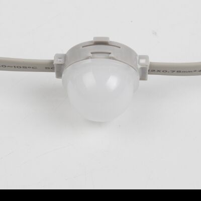 40mm 24v IP67 LED Point Light for in architectural lighting and signage applications
