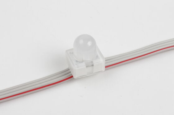 12mm RGB SMD5050 LED Point Light IP67 DC5V Through-Hole Anchor Pixel Light με γωνία δέσμης 160