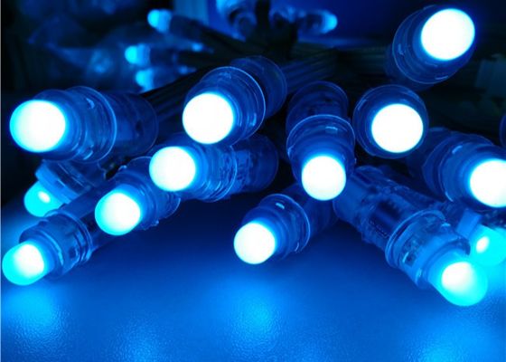 Φασόλι 12mm θαύματος Rgb προσπελάσιμο WS2811 1903 RGB F8 12mm 5V 12V Χριστουγέννων πλήρες φως εικονοκυττάρου των οδηγήσεων χρώματος από το εργοστάσιο