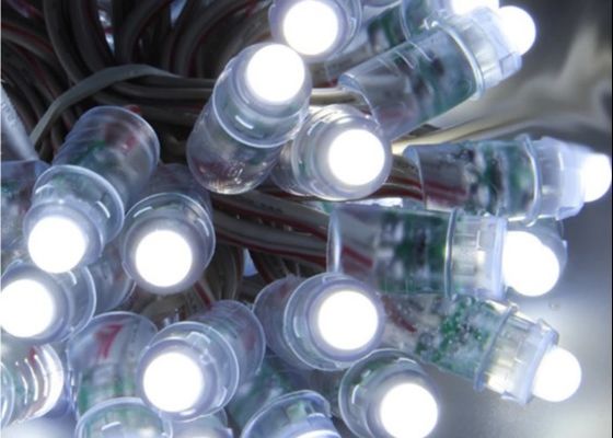 Το λούνα παρκ 12V 5V οδήγησε το ελαφρύ 0.3W RGB WS2811 το 1903 ψηφιακό εικονοκύτταρο εικονοκυττάρου για τα Χριστούγεννα