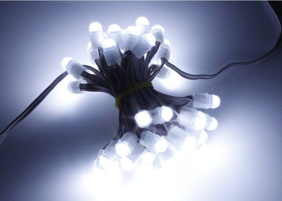 Φως 9mm 12v IP67 εικονοκυττάρου σημείου των οδηγήσεων φασολιών 0.2w 16lm θαύματος